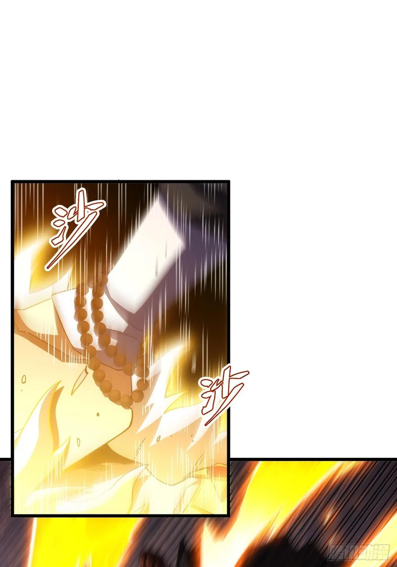 141.坐骑 第25页