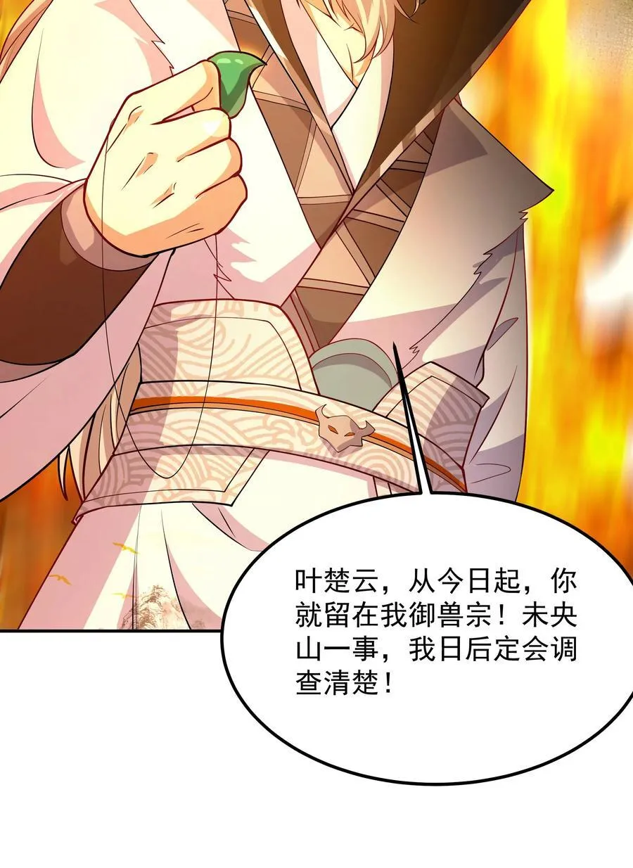 30 镇派灵兽认主了？！ 第39页
