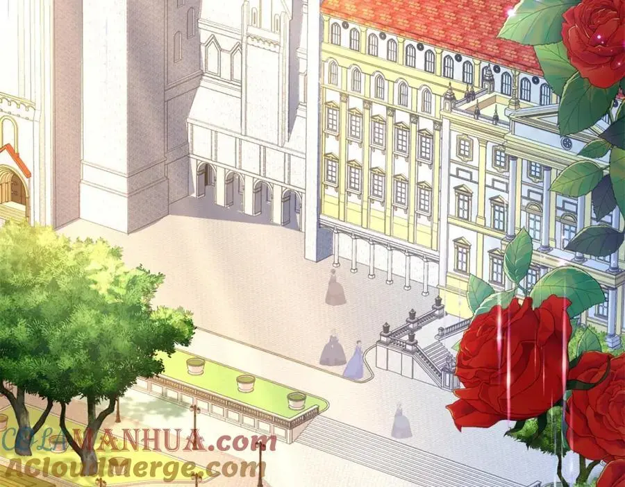 第26话 真正的美强惨 第5页