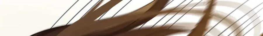15 和她睡在一起 第88页
