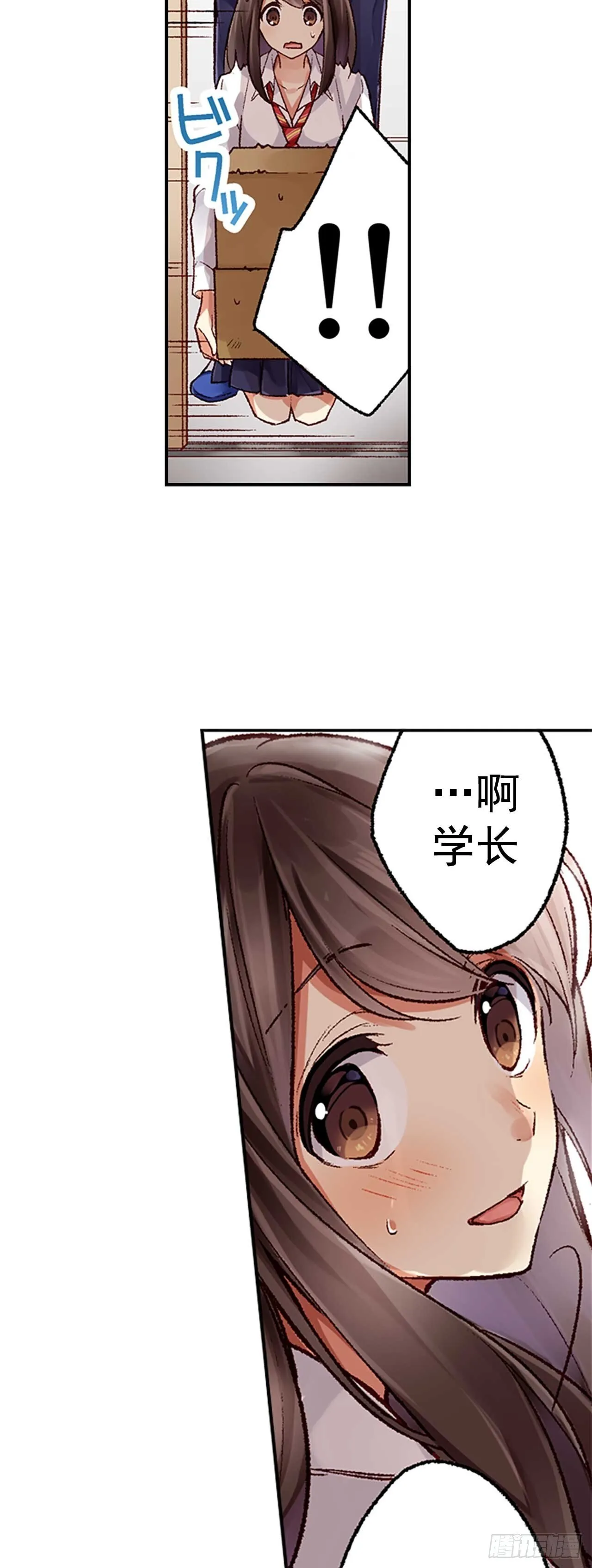 5 第4页