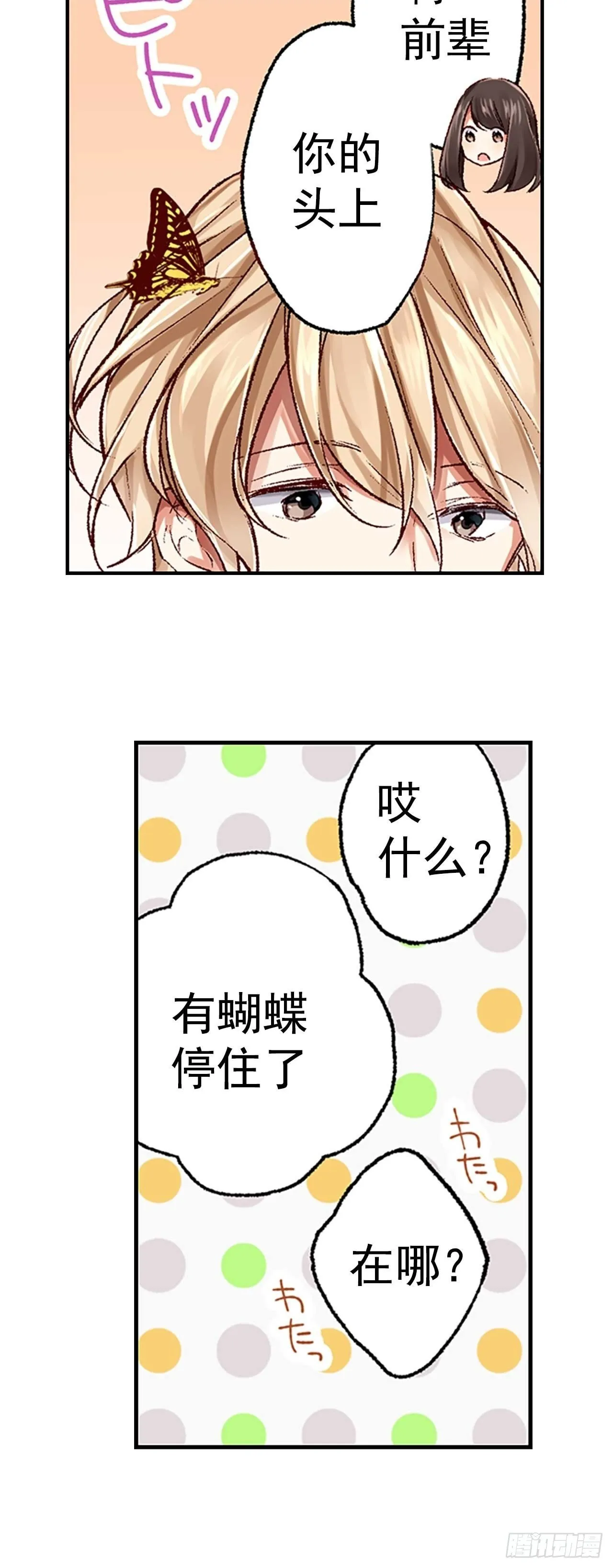 3 第12页