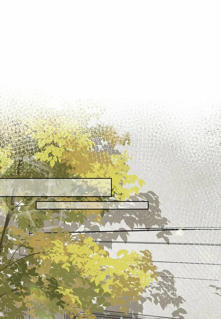 005 独木桥与阳关道 第13页