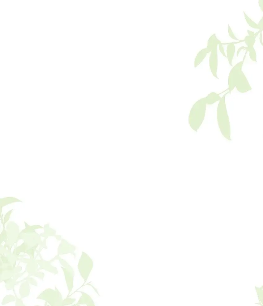 026 从此以后不再烦你 第25页