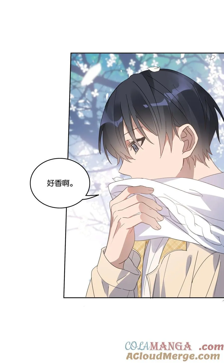 060 香雪海 第17页