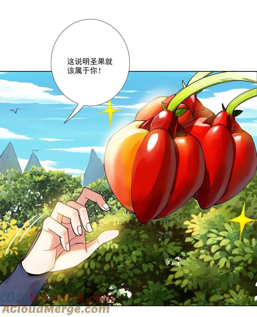 17 半圣vs半圣 第5页