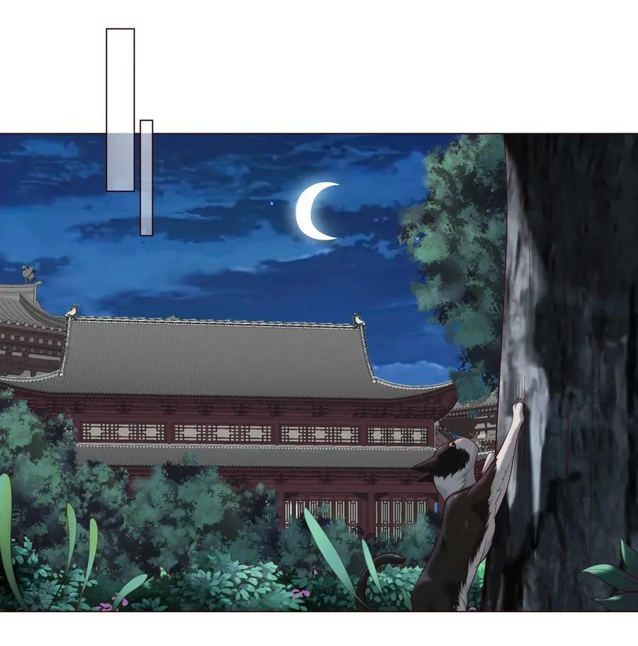 06 妖皇丹 第63页