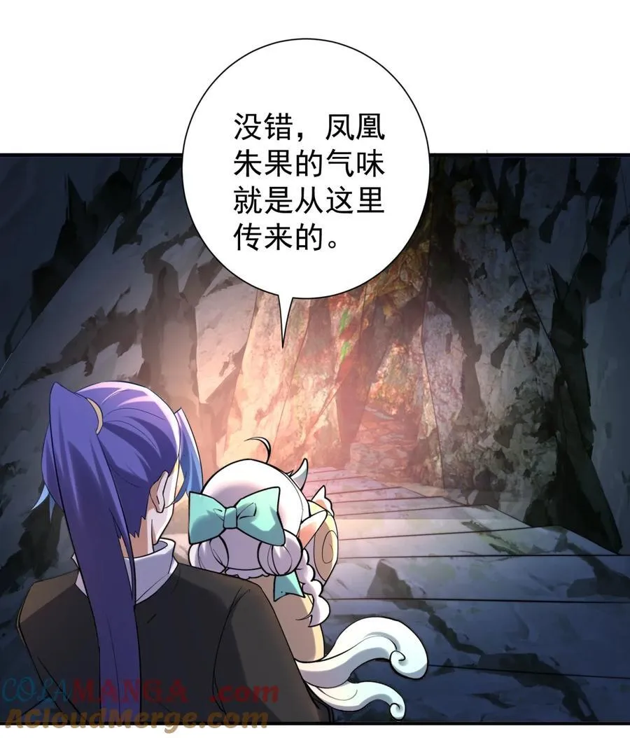 109 凤凰朱果 第17页
