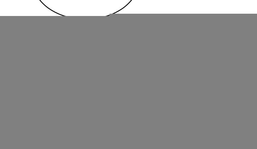 第65话 岩缝中开出的爱情之花 第10页