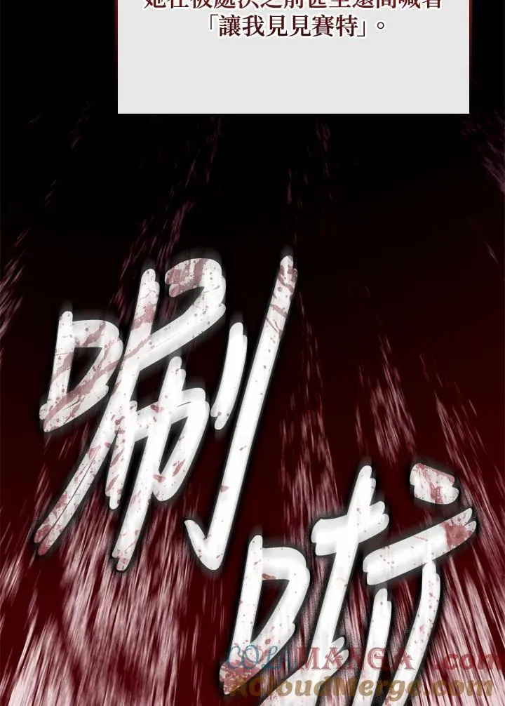 第74话(第1季最终章) 第17页