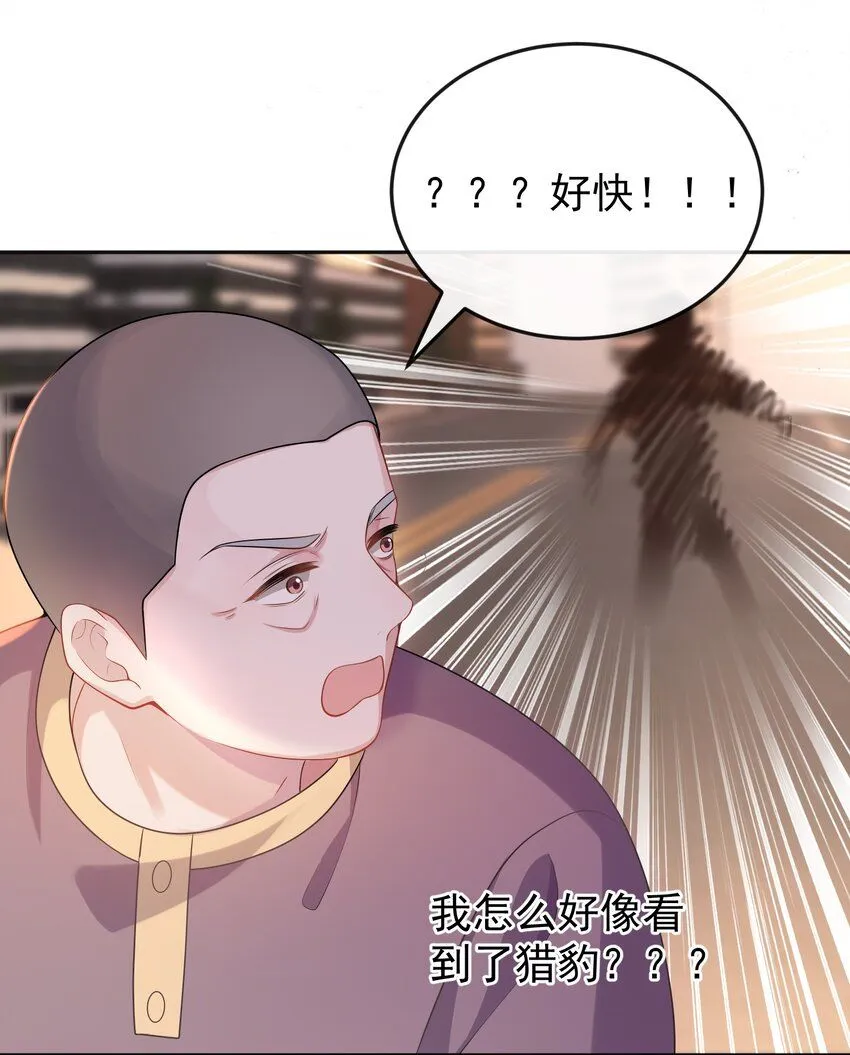 005 怎么好像看到了猎豹？！ 第18页