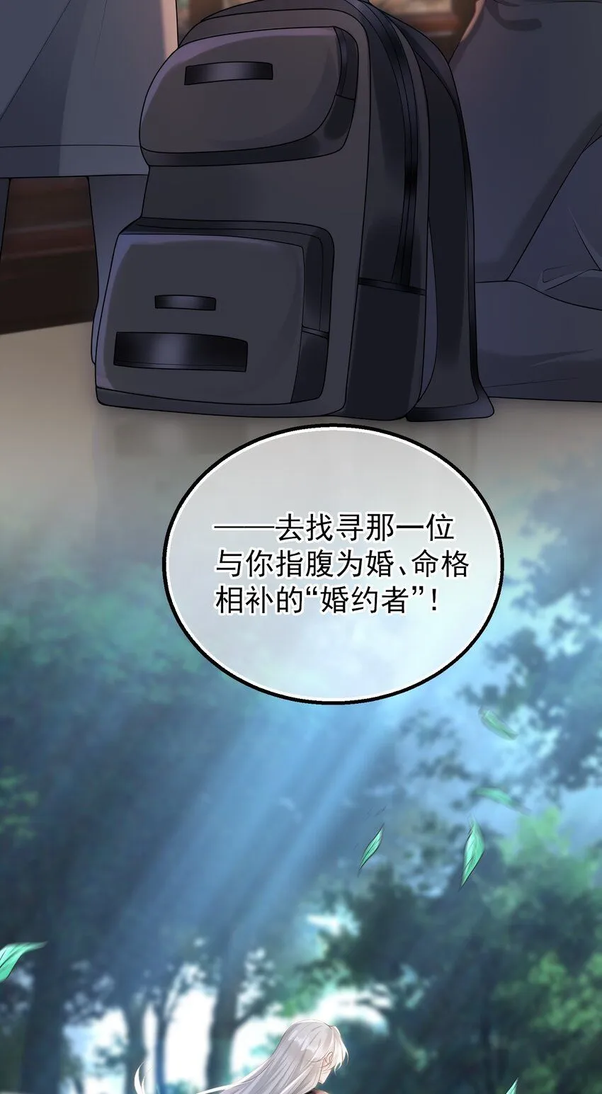 005 怎么好像看到了猎豹？！ 第44页