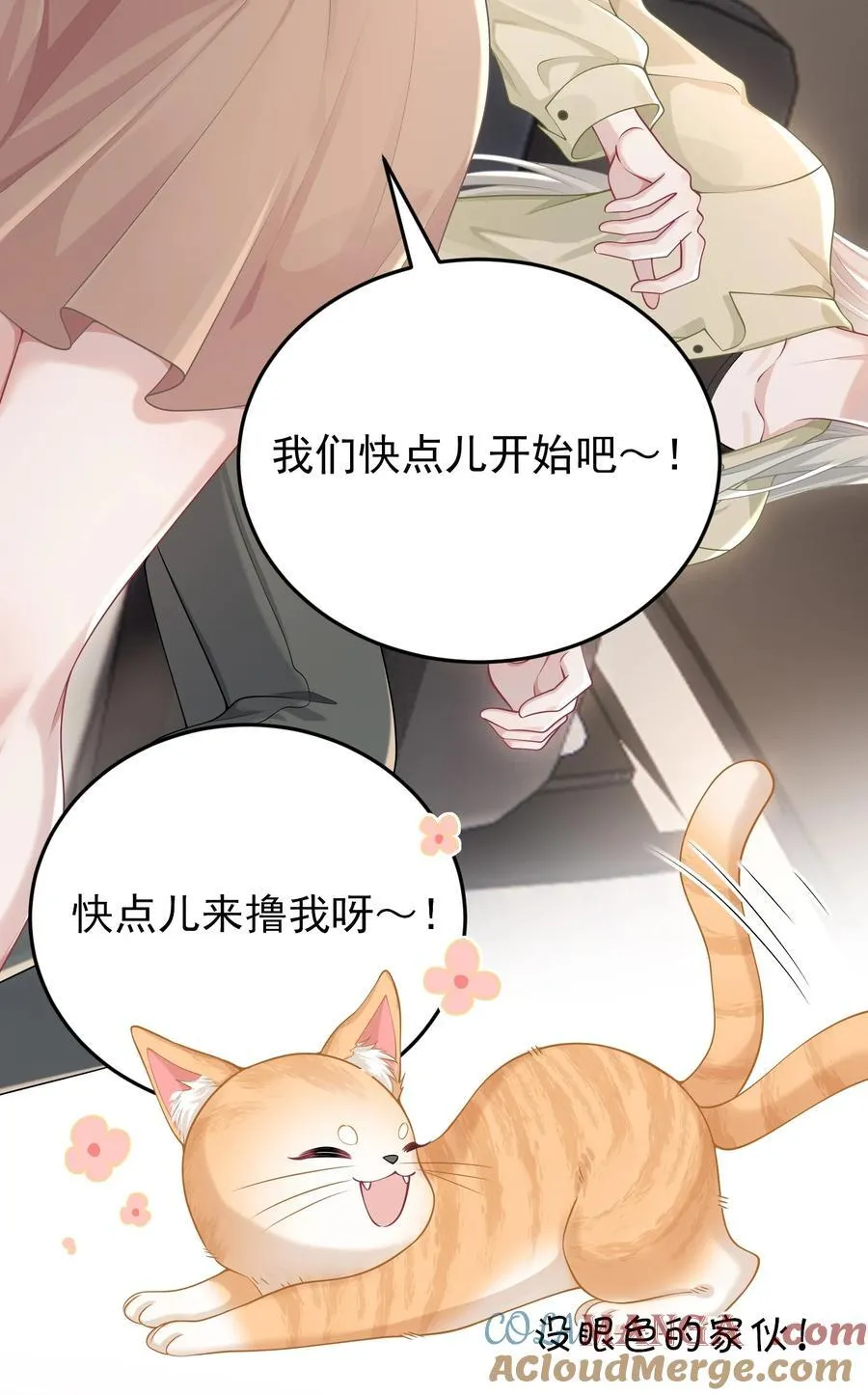 027 快点来撸猫 第28页