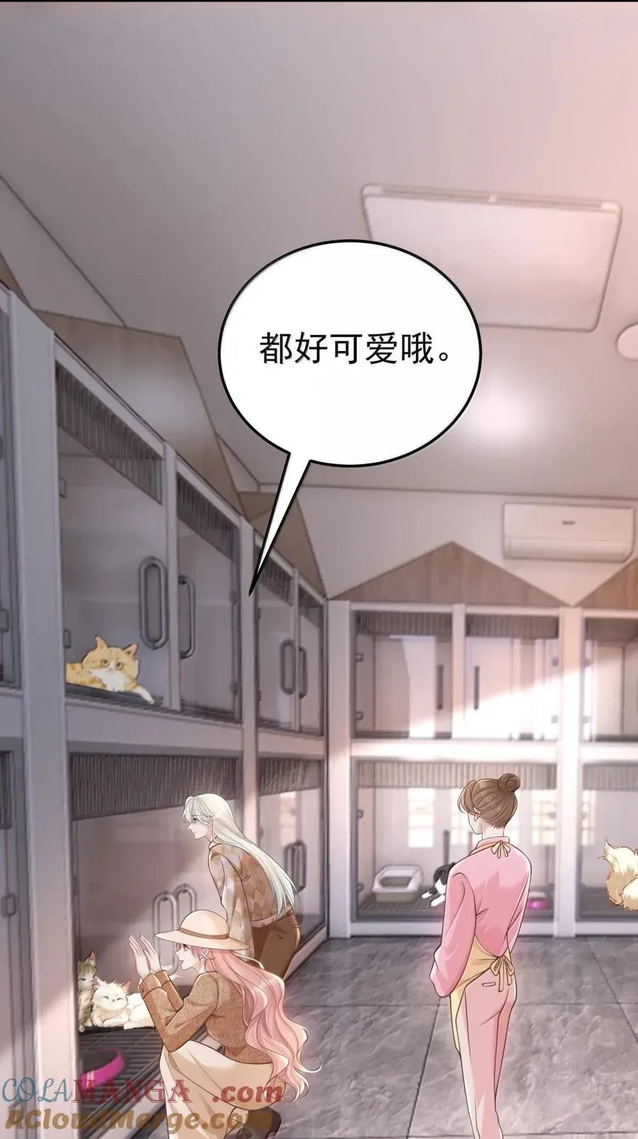 062 我怕我改变心意 第17页