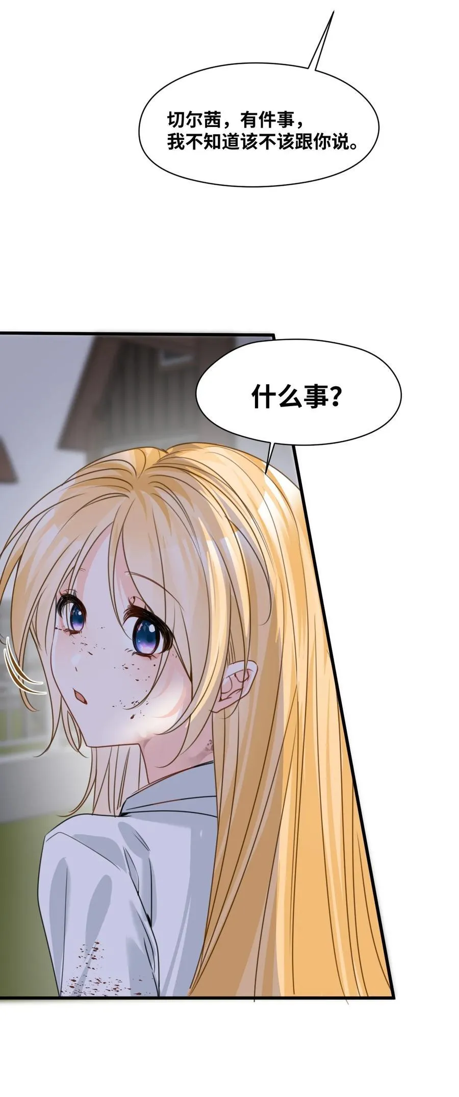 039 摇摇欲坠的伪装 第29页