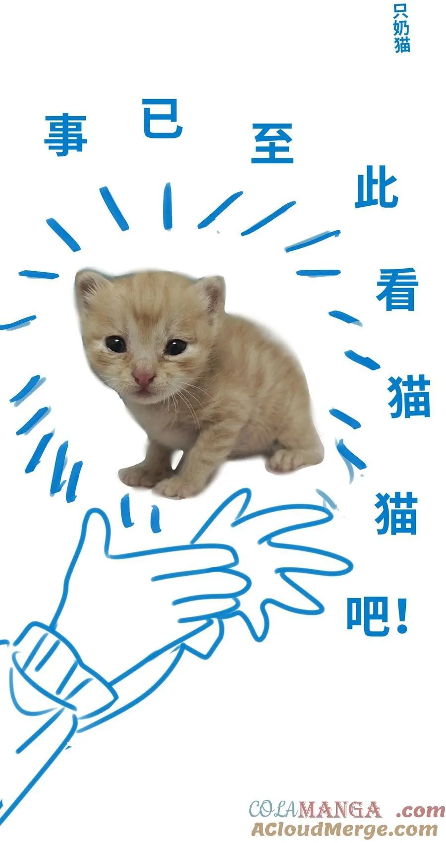 新卷预告 新卷预告 4 第4页