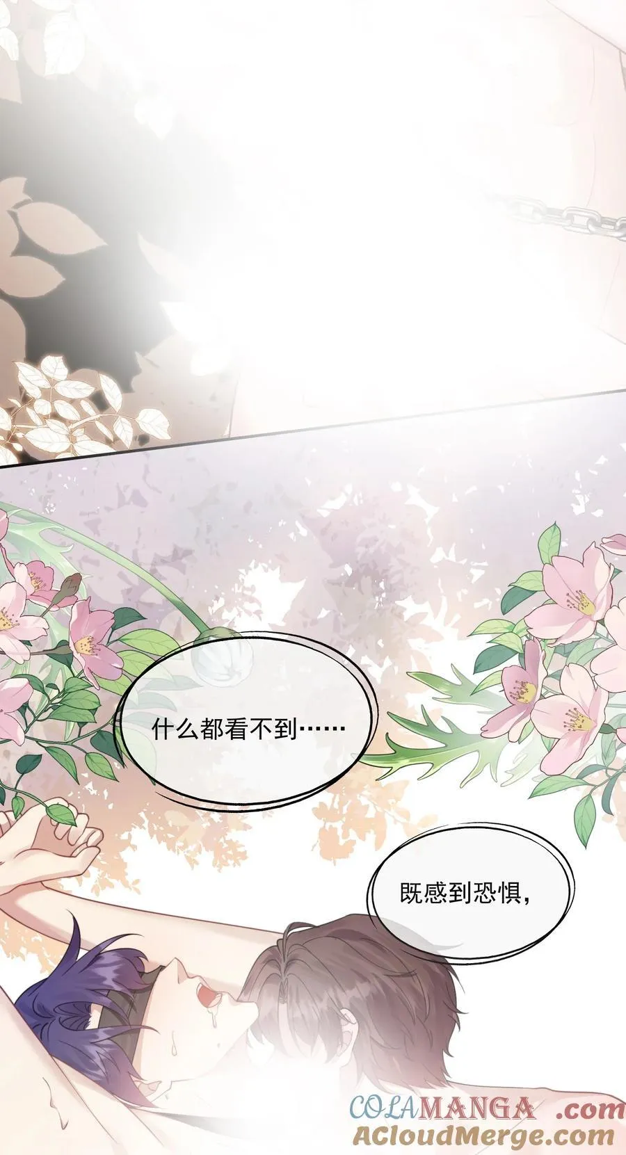 第43话 没有人能抢走你 第15页