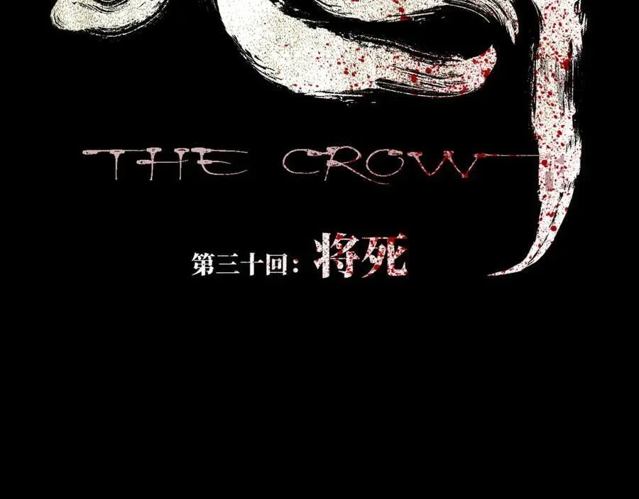 第三十回 将死 第6页