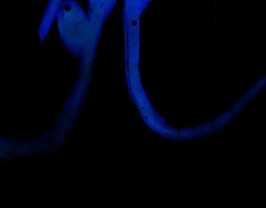 第三十回 将死 第40页