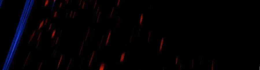 第三十一回 郑青祯（上） 第230页