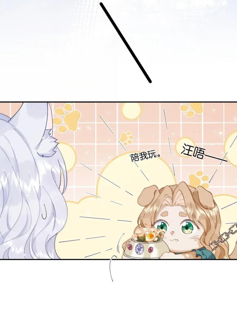 060 正因为我喜欢她 第42页