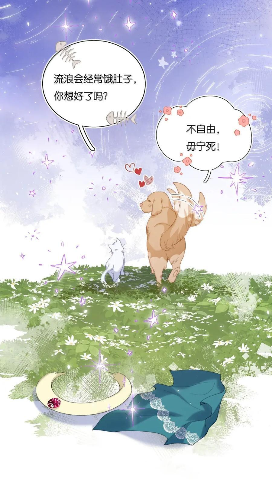 060 正因为我喜欢她 第47页