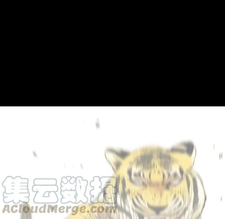 66 第49页