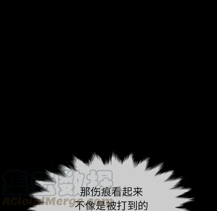 53 第41页