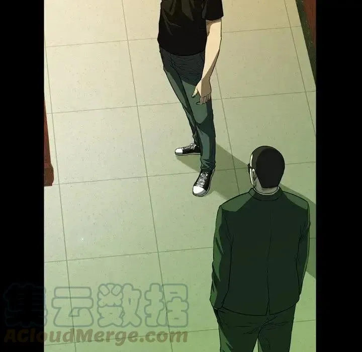 3 第17页