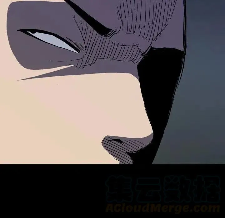 5 第41页
