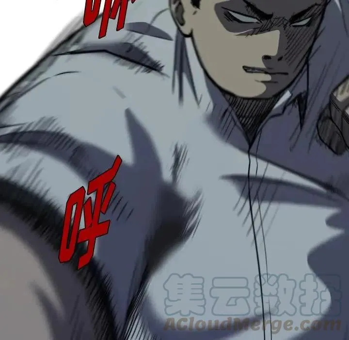 5 第117页