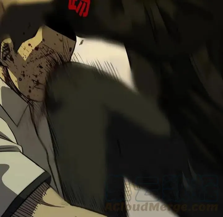 5 第125页