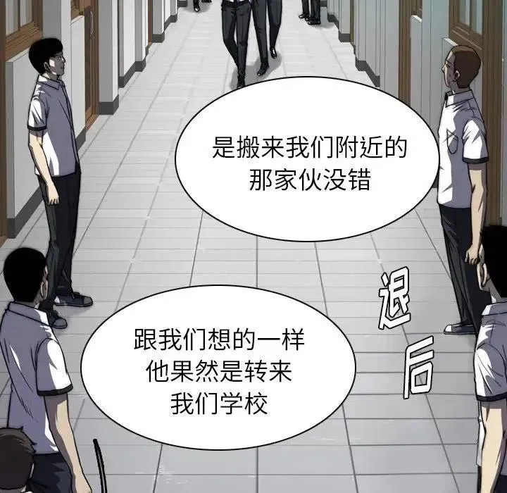 5 第146页