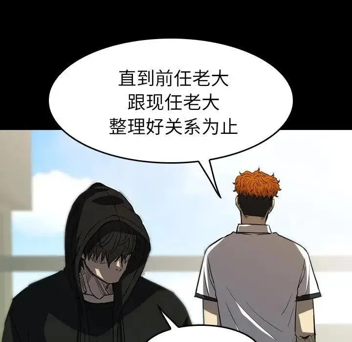 27 第118页