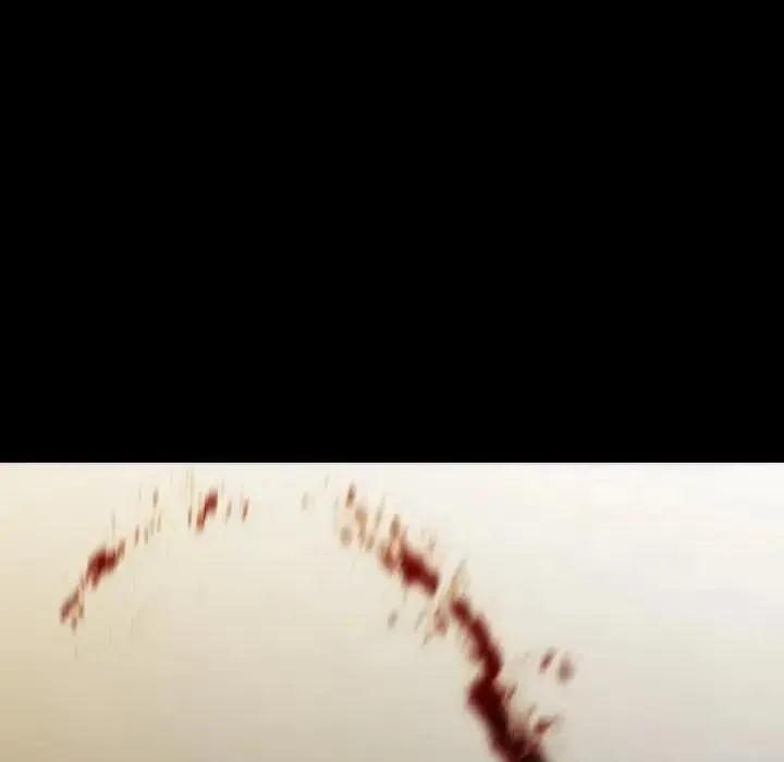 33 第78页