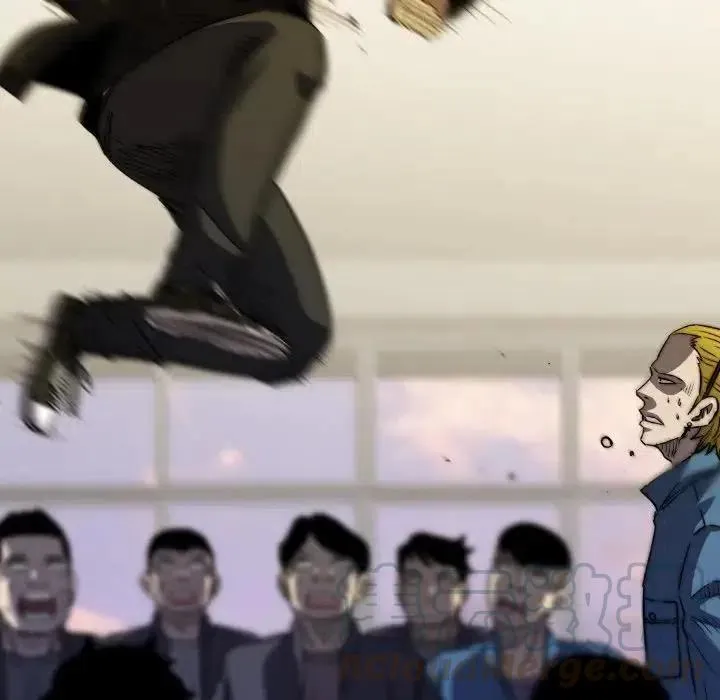 33 第109页
