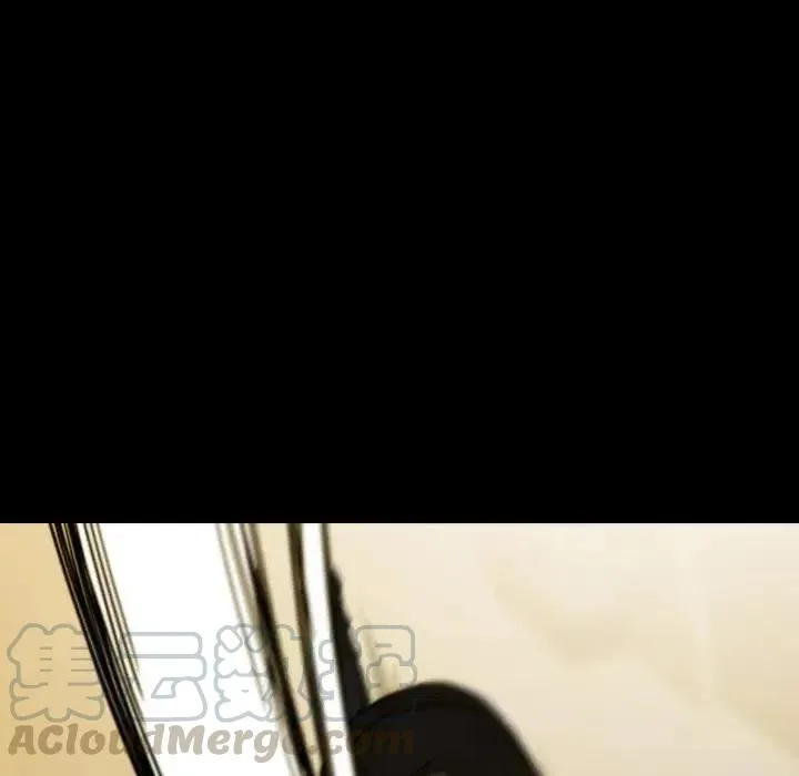 33 第113页