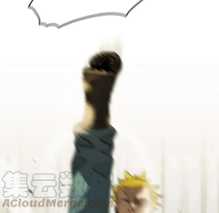 33 第161页