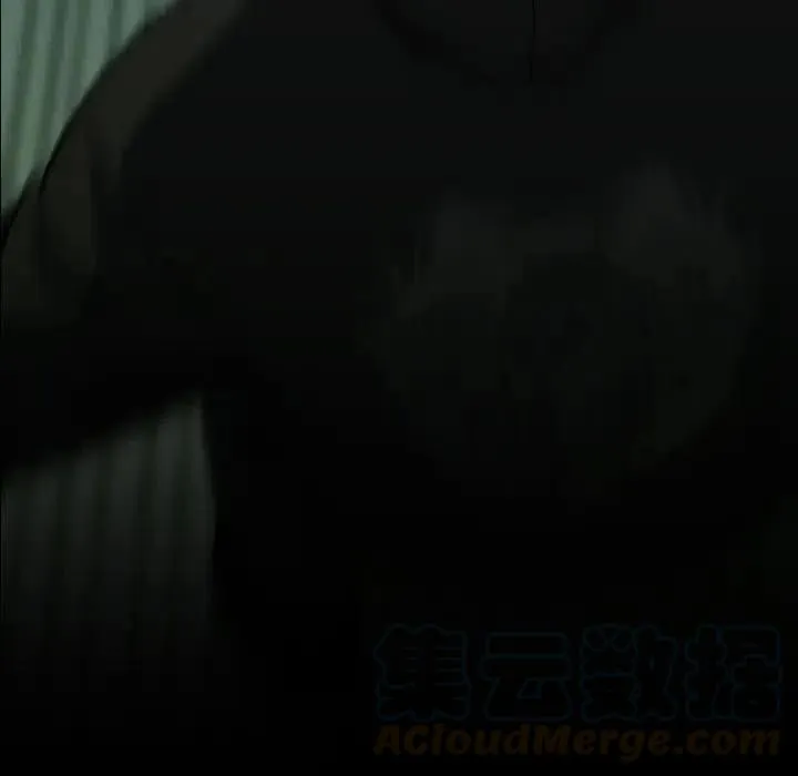 41 第5页