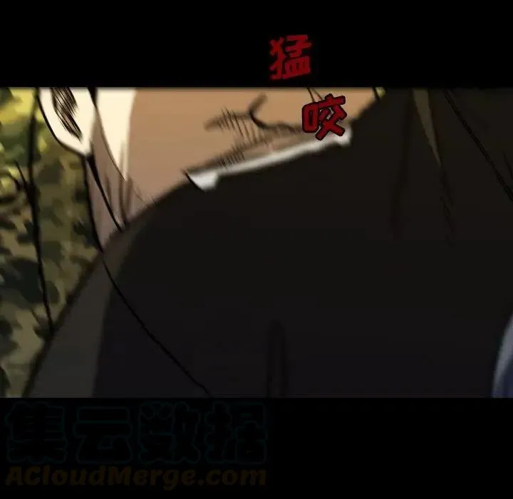 43 第81页