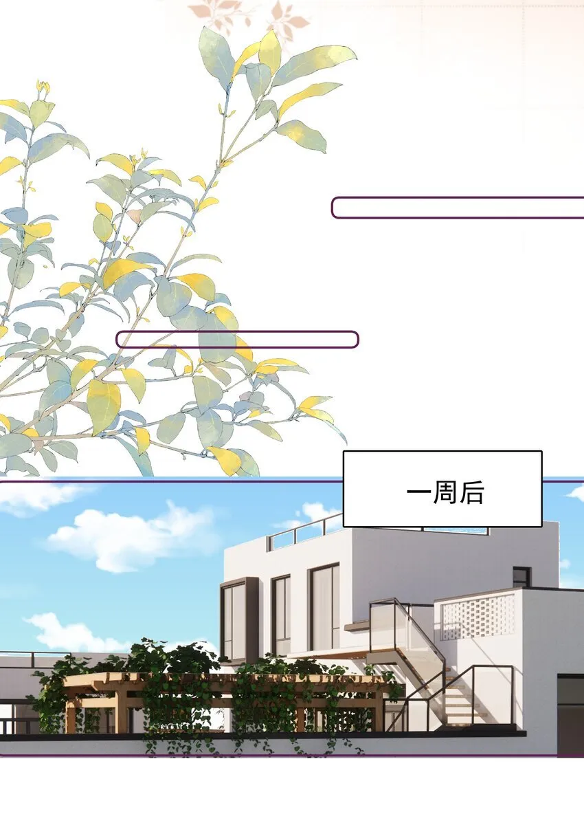 029 无迹可寻 第35页