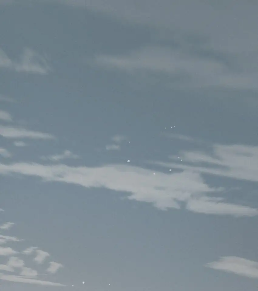 10 海洋 第47页