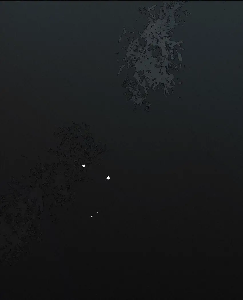 12 陷阱 第25页