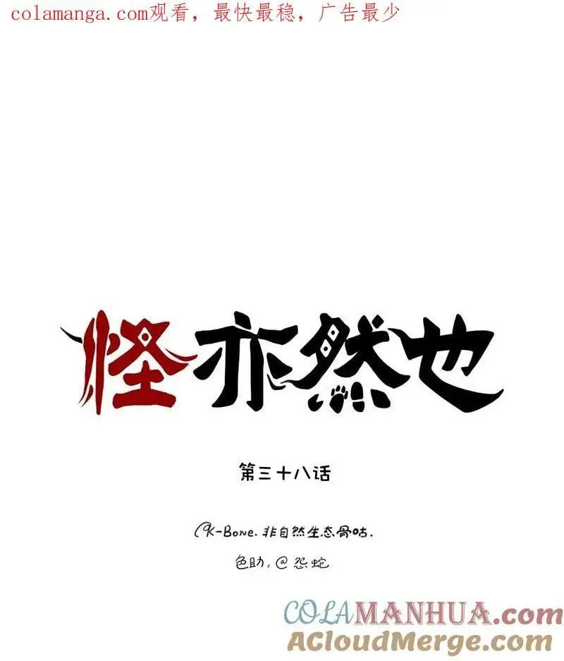 038 昙花一现影无踪 第1页