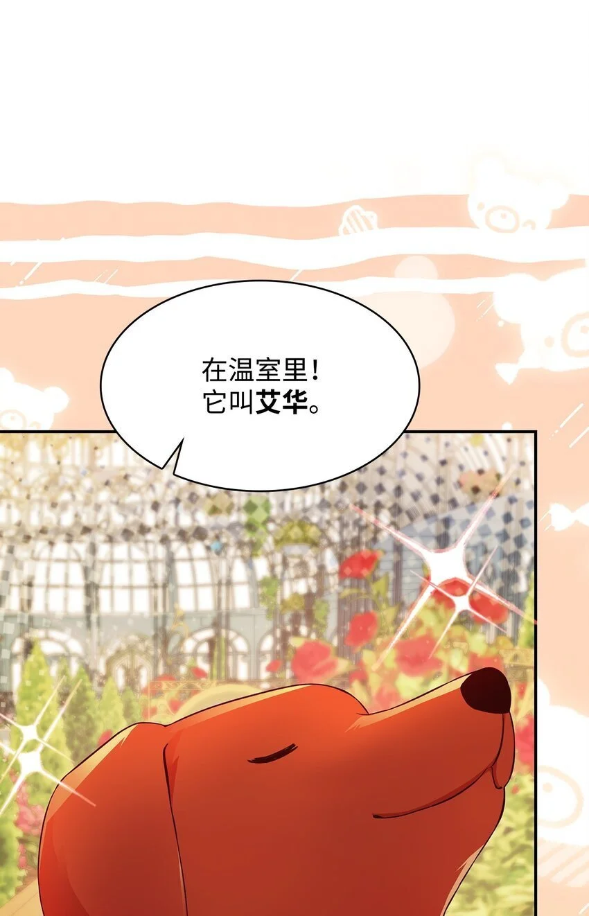 31 温室里的温馨 第13页
