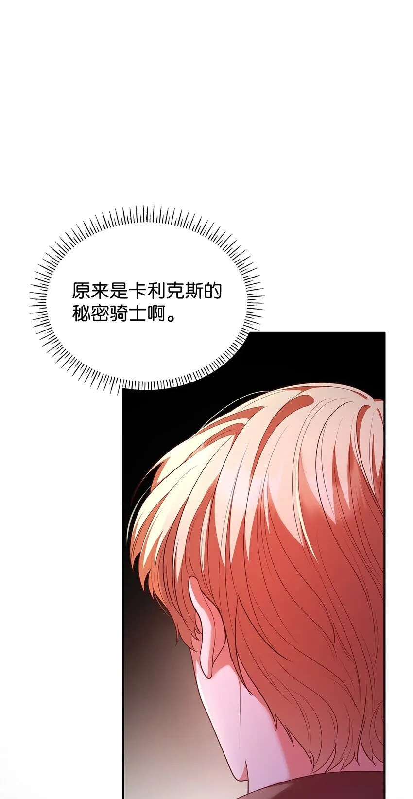 48 作战 第32页