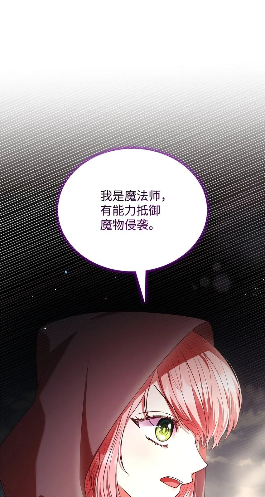 48 作战 第38页