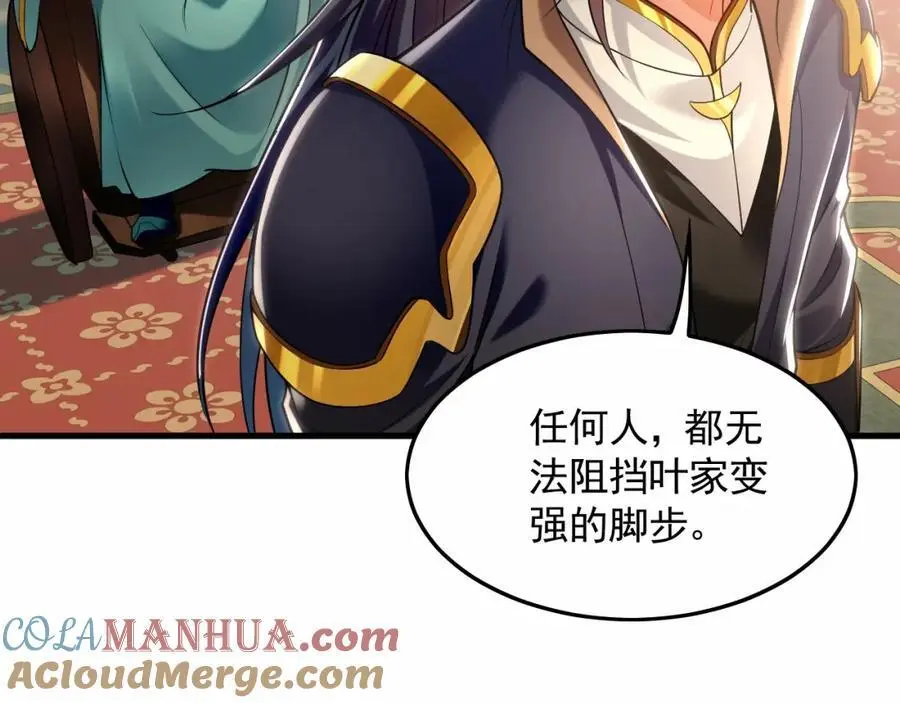 17 现在的叶家不需要任何人庇护！ 第97页