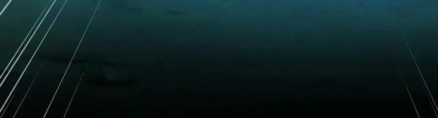 27 你我之间只能你死 第107页