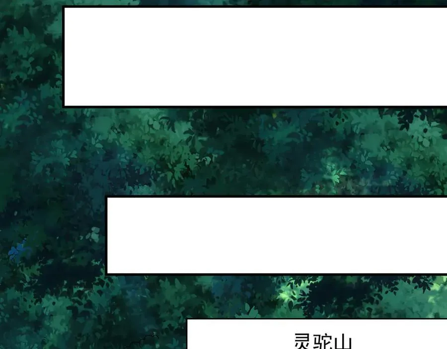 65 又又又升级了！ 第43页